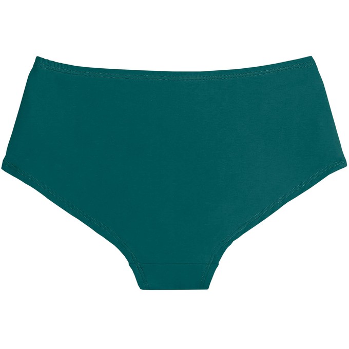 Everglade Organic Cotton Hipster Panty from TIZZ & TONIC