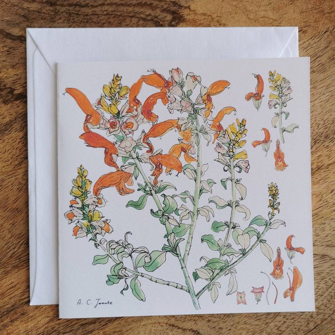 Single Fynbos Greeting Card from Urbankissed