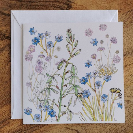 Single Fynbos Greeting Card from Urbankissed