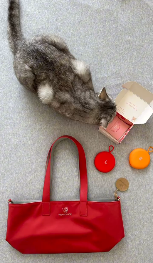 Palindrome Reversible Tote from Veganologie Palindrome Reversible Tote from Veganologie