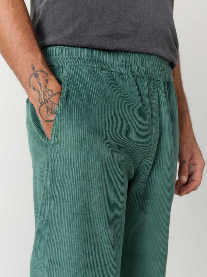 Otmar Pants Teal from Yahmo