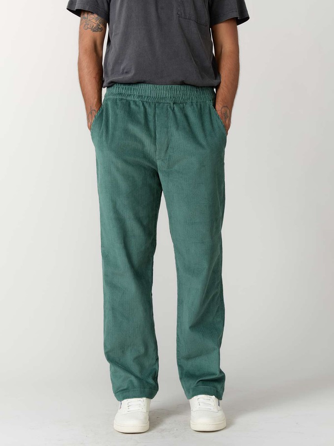 Otmar Pants Teal from Yahmo