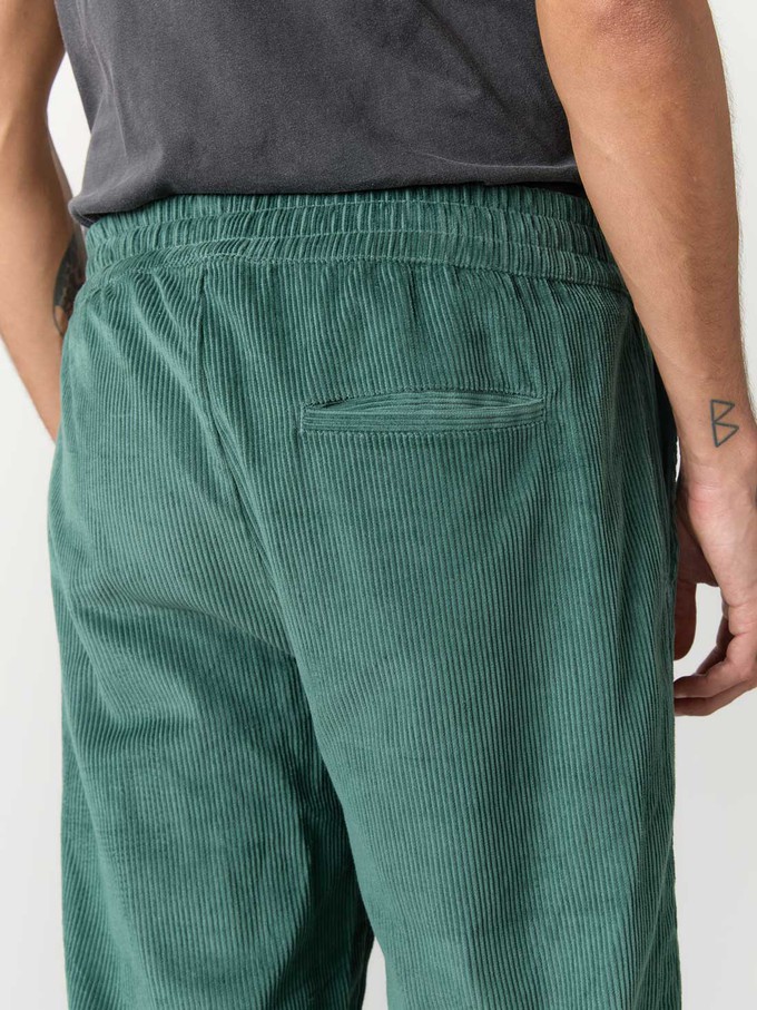 Otmar Pants Teal from Yahmo