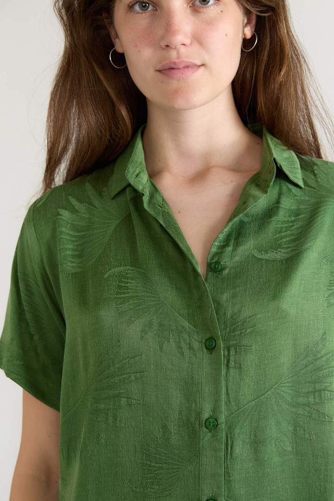 Lotte Shirt matcha from Yahmo