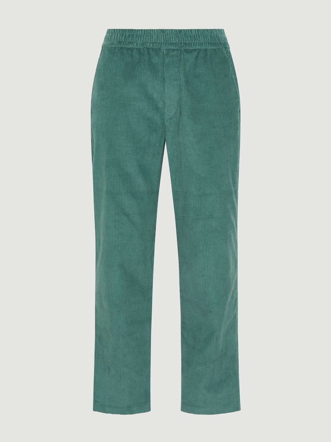 Otmar Pants Teal from Yahmo