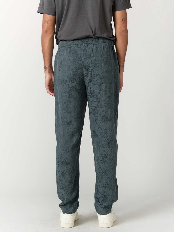 Walter Pants Eclipse from Yahmo