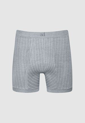 Helios prinstriped fly front boxer from ZD ZERO DEFECTS