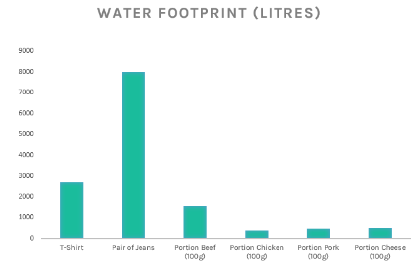 Water footprint clothing and meat industry