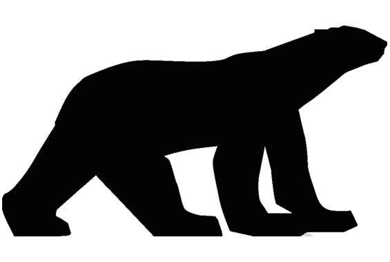 Logo van arctic seas